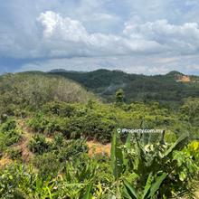 Agriculture land for Sale