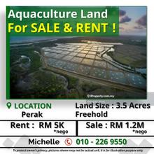 Perak Agricultural Land For Rent