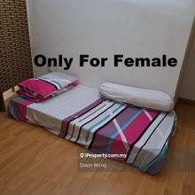 Millennium square female small bedroom renting
