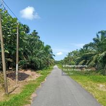 Agriculture land for Sale