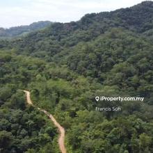 Orchard land Open for Tender, Bentong, Kampung Benus 