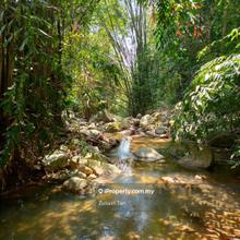 1.1 Acre 1st Grade Freehold Agriculture Land Stream Balik Pulau