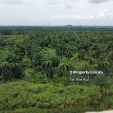 Industrial land for Sale