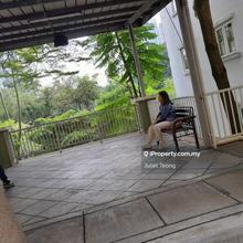 Casa Desa facing scot garden