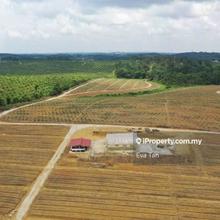Agriculture land for Sale