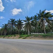 Agricultural Land with Industrial Potential in Kluang, Johor.