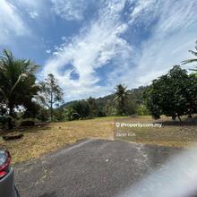 Below Market Price : Durian Farm 30 years old tree, Orchard Farm