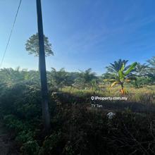 Kampung Mawai Kota Tinggi Land For Sale