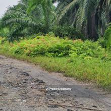 Batu Kawan Industrial land for sales
