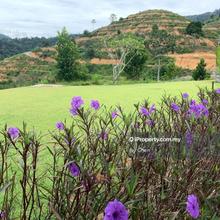 Bungalow land for Sale