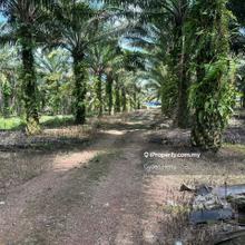 Kampung Ulu Pulai, Gelang Patah