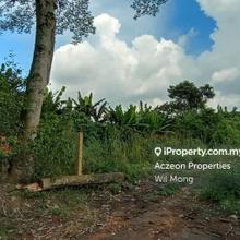 Agriculture land for Sale