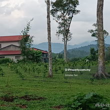 10 acres freehold land