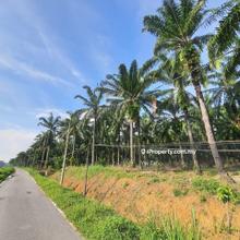 Agriculture Land @ Kg. Lembah Paya, Salak Tinggi For Sale