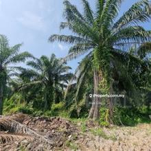 Jenjarom Residential Land 8 Acres Mature Area Freehold!