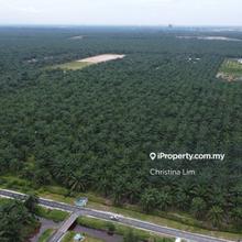 Agriculture Land Kuala Langat, Banting, Telok Panglima Garang 