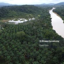 Terengganu Agriculture land for sale at Kuala Dungun