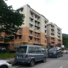 Low density only 5 Storey with lift