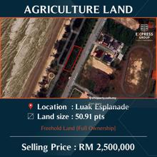 Freehold Agriculture Land at Luak Esplanade (50.91 points)