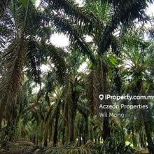 Agriculture land for Sale