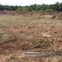 Agricultural Land For Sale