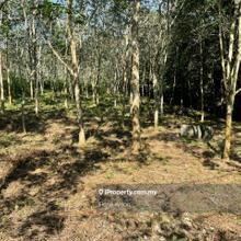 Agriculture Land For Sale Mukim Kesang , Jasin Melaka