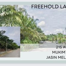 Freehold Land At Mukim Rim Jasin Melaka