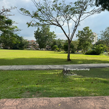 Good location rare face park