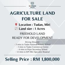 Agriculture Land at Tudan, Miri (Ready for development)