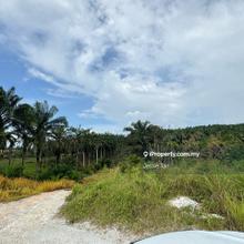 Seelong senai agriculture land for sale