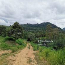 5.6 Acres Durian Farm Tras Raub 2nd Layer From Main Road