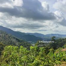 2.64 Acres Durian Farm Balik Pulau Low Land Road Access Mountain View