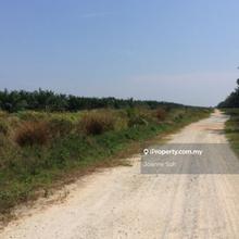 Kota warisan, sepang, banting agriculture land for sale!!