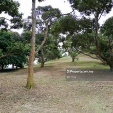 Agriculture land for Sale