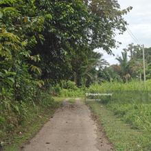 Agricultural Land @ Pangkalan Baru, Stephen Yong