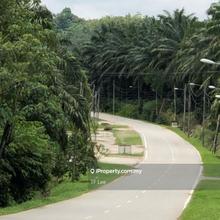 With durian orchard 
