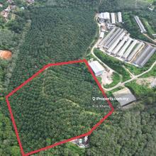 Lendu, Alor Gajah 10acres Freehold Palm Oil Agriculture Land For Sale 