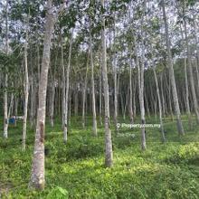 5 acres freehold agricultural land jenjarom for sale 