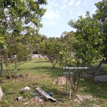 Residential Land, Kg Sg Pelepah, Kota Tinggi, Johor