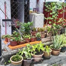 Flat for Sale