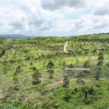 Gerik Perak 36 Acres Freehold Black Thorn Durian Orchard Land For Sale