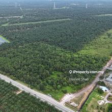 Medium Industrial Lands within Pontian