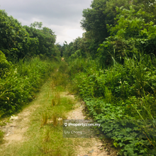 For Sale agriculture land 