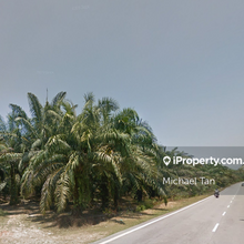 Palm Oil Land For Sale
