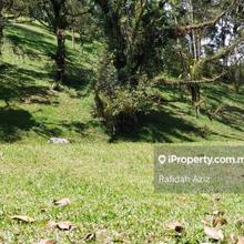 Agriculture land for Sale