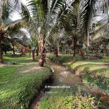 For Sale.7 Acres Agriculture Land@Kluang