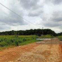 Seelong, Senai