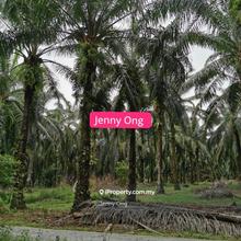 Zoning Industry & Residential Land At Kulim Hi-Tech Kedah For Sale