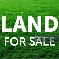 A flat land for sale
