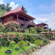 Agriculture land for Sale